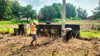 Polsek Jatirogo Polres Tuban tanam bibit jagung bersama Petani di lahan produktif milik warga Desa Sugihan
