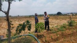 Dukung Program Asta Cita, Anggota Polsek Kerek Dampingi Petani Olah Lahan