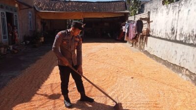 Polsek Montong Polres Tuban Turun Cek Tanaman jagung Warga di Desa Bringin