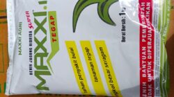 Petani Desa Beleka Terima Bantuan Benih Jagung, Dikawal Ketat Kepolisian