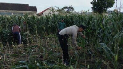 Bhabinkamtibmas Labuapi Ajak Warga Manfaatkan Lahan Tidur