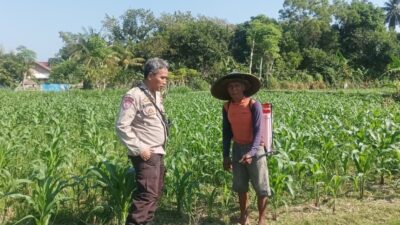 Bhabinkamtibmas Lombok Barat Edukasi Warga Manfaatkan Lahan Kosong