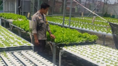 Kemandirian Pangan Warga Bengkel Lombok Barat Dipuji