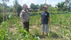 Polsek Batulayar Optimalkan Lahan Pekarangan Demi Wujudkan Kemandirian Pangan Keluarga