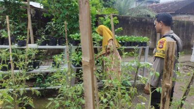 Kunci Sukses Ketahanan Pangan Nasional: Ketika Polisi dan Petani Lombok Barat Bersatu di Sawah