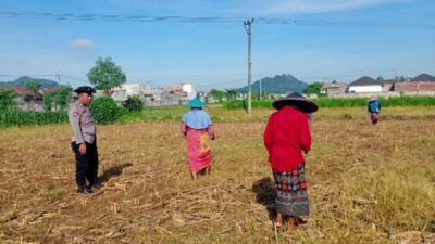 Sinergi Polsek Labuapi dan Petani Lombok Barat Optimalkan Lahan Pertanian