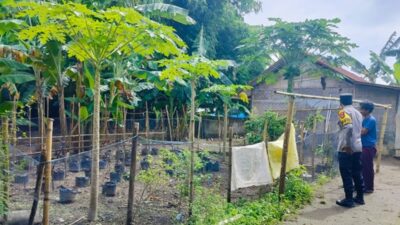 Polsek Labuapi Edukasi Warga Bajur Manfaatkan Pekarangan Rumah