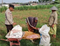 Langkah Konkret Polsek Labuapi Perkuat Ketahanan Pangan Lewat Peran Bhabinkamtibmas