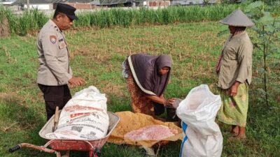 Langkah Konkret Polsek Labuapi Perkuat Ketahanan Pangan Lewat Peran Bhabinkamtibmas