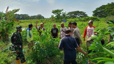 Aksi Nyata Polsek Batulayar Dampingi Warga Sulap Pejabat Desa Mandiri Pangan