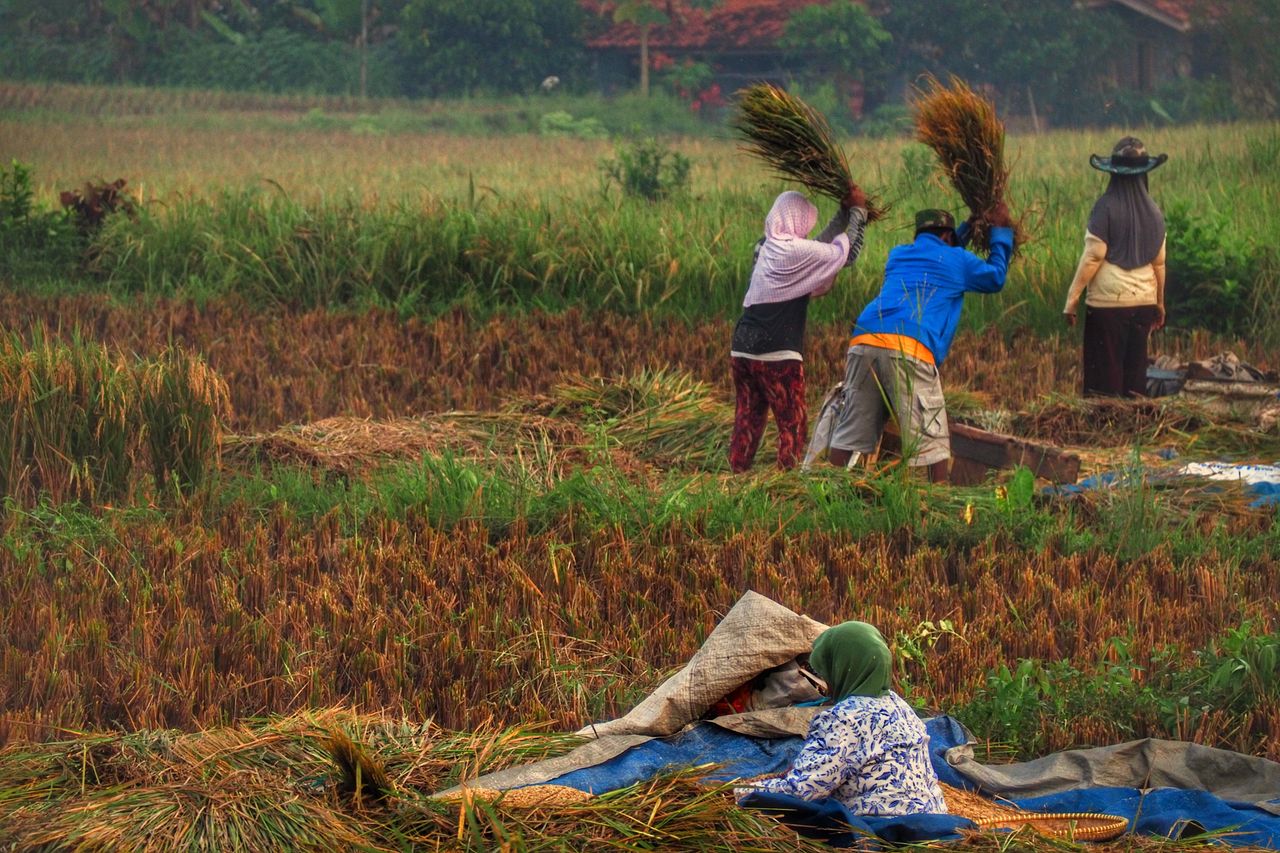 Yuk, kenalan lebih dekat dengan tradisi unik wujud rasa syukur atas panen melimpah yang bikin takjub ini!
