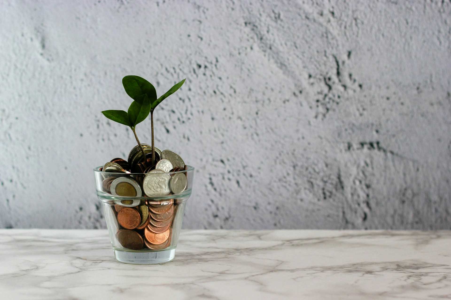 Yuk, mulai Investasi Modal Kecil dengan bantuan AI sekarang juga supaya cuan maksimal dan bebas salah langkah!