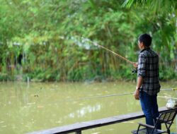 Pensiun Dini: Nyesel atau Malah Ketemu Arti Hidup Baru?