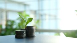 Pemula Wajib Tahu! Investasi Pasif Modal Kecil Bisa Kaya